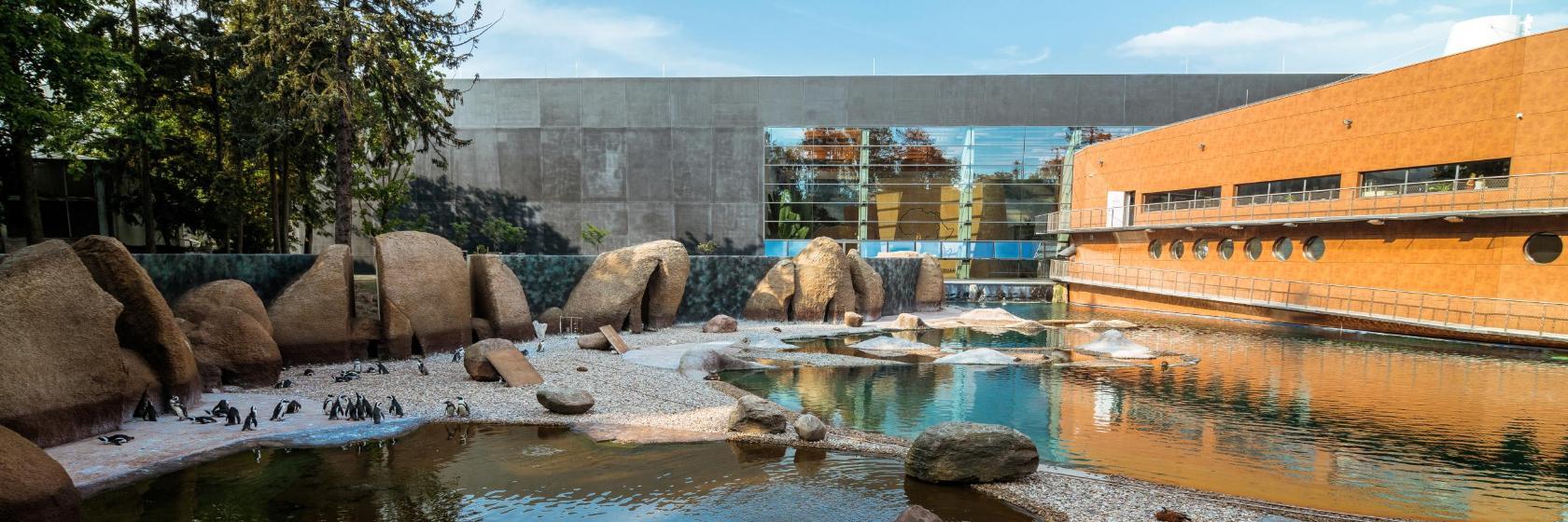 Zoologischer Garten Breslau